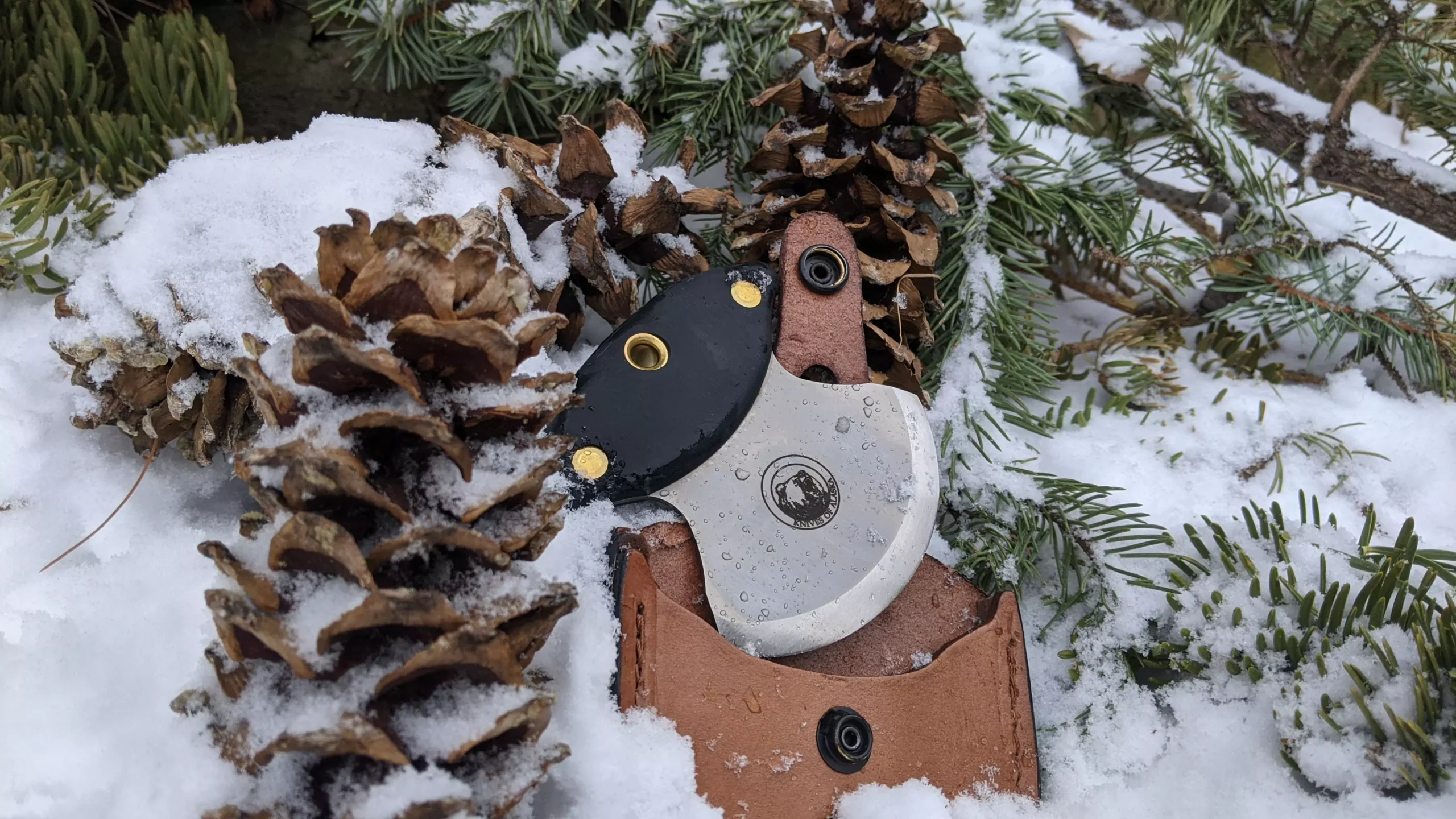 Magnum Ulu knife with water droplets nestled in snow among pinecones and evergreen branches