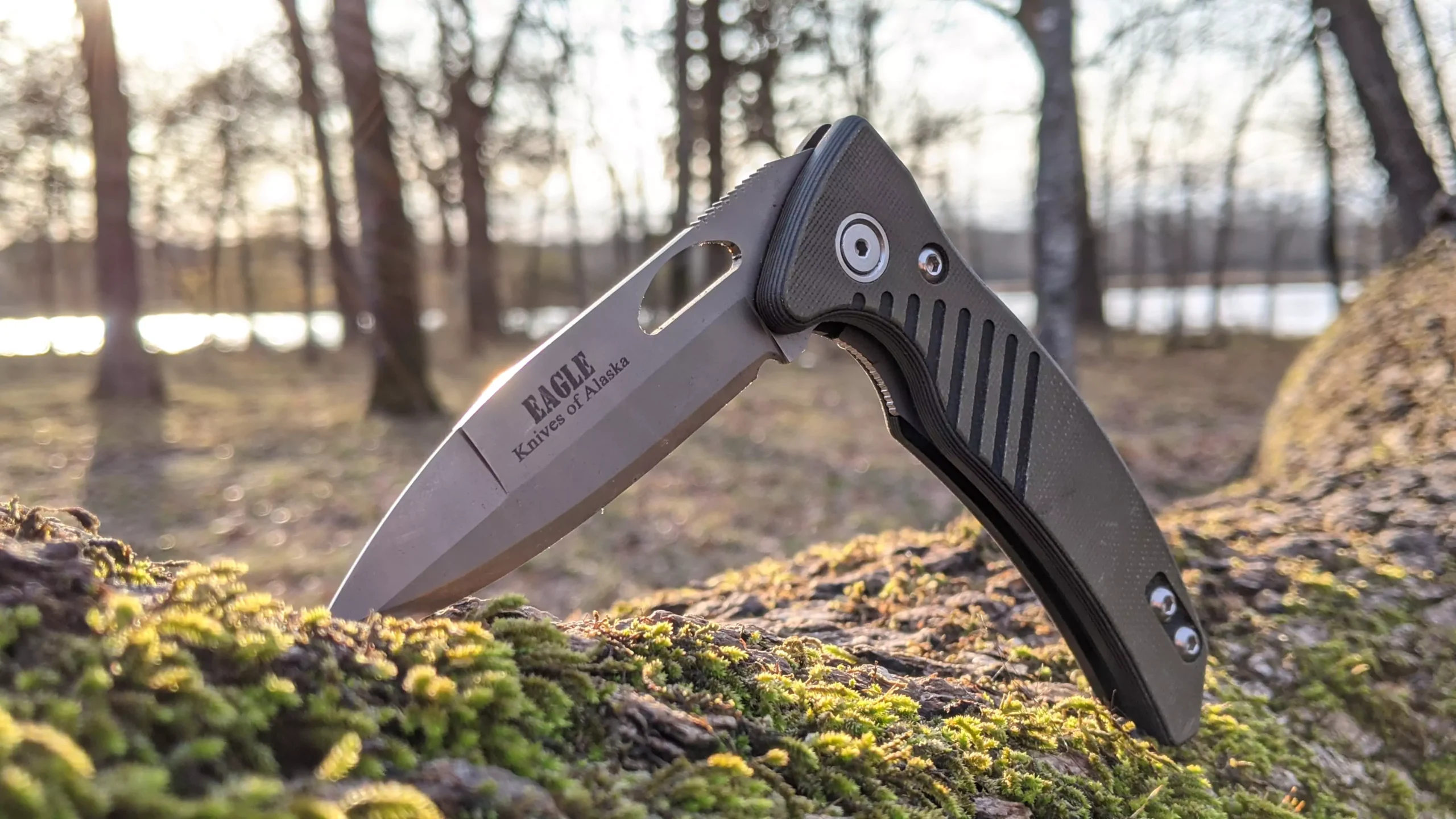 Eagle Auto folding knife with MagnaCut steel resting on mossy log in a forest