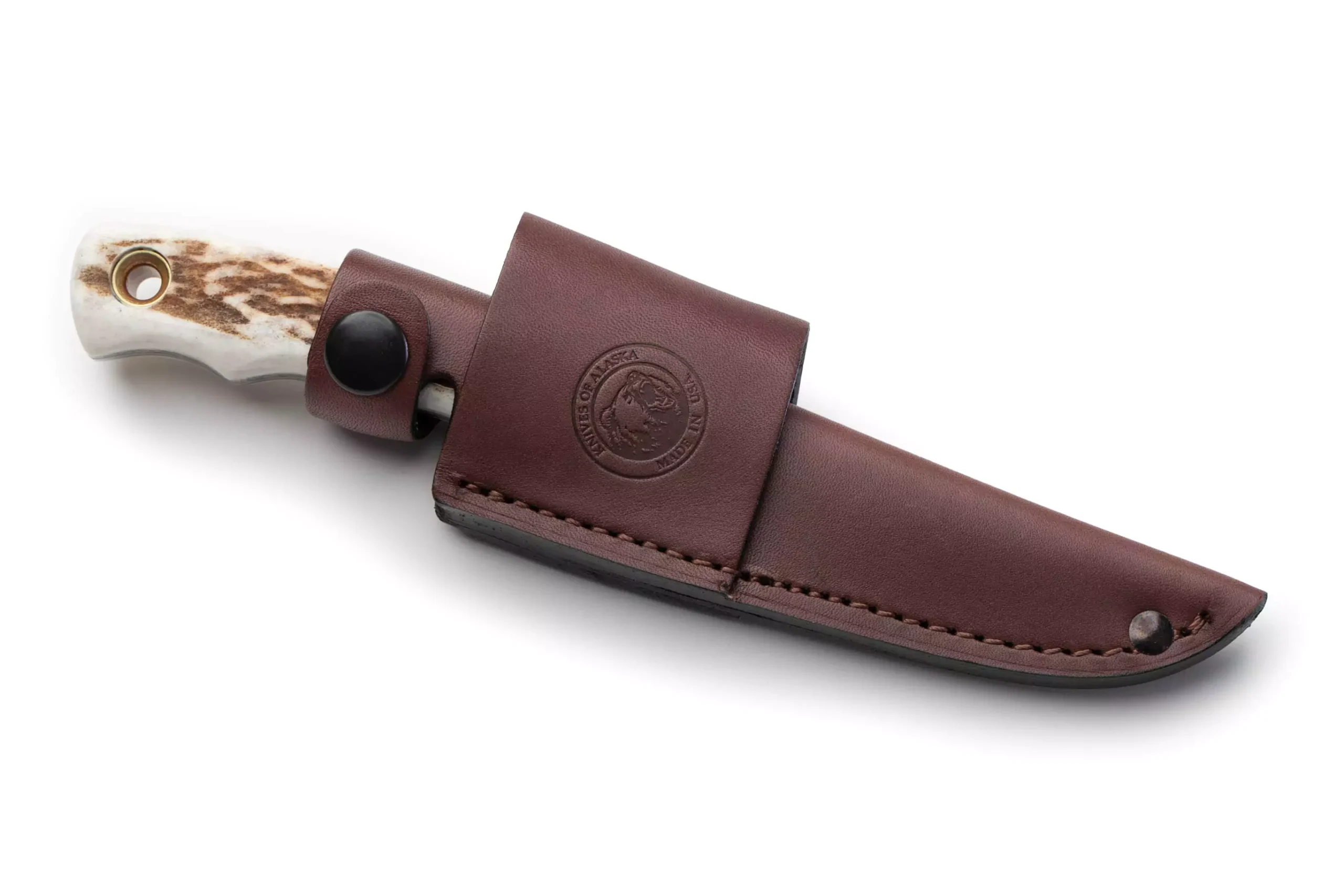 Alpha Wolf knife with stag handle partially sheathed in brown leather holster